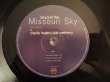 画像4: Pat Metheny & Charlie Haden / Beyond The Missouri Sky (4)