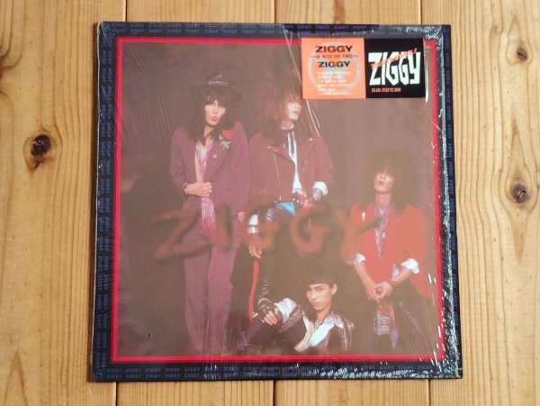 画像1: Ziggy / In With The Times (1)
