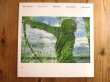 画像1: Marc Johnson (John Scofield, Bill Frisell)/ Bass Desires (1)